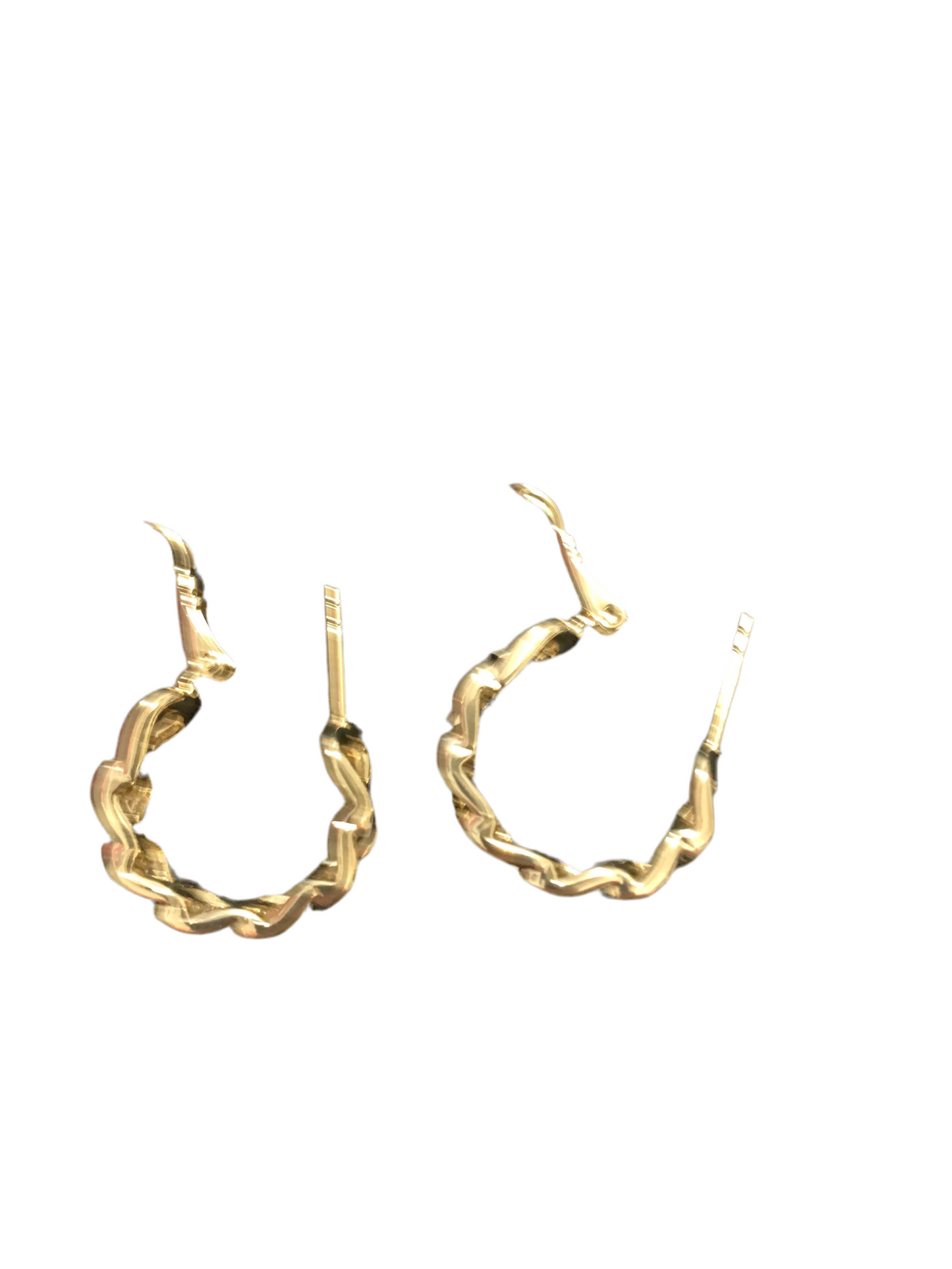 Earrings Small Hoop